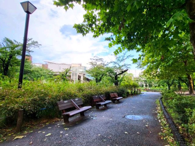昭和沼公園
