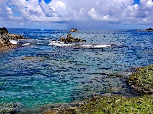 海參坪