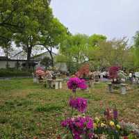 The Most beautiful UNESCO Heritage Garden in China