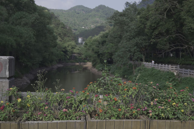 Southern Hot Spring Park (南温泉公园) — Tranquil Escape in Chongqing