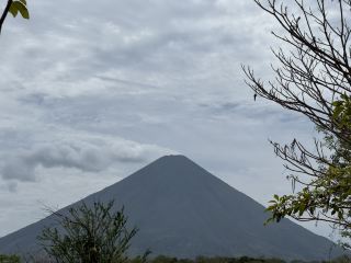 에픽한 뿌리를 만날 준비 되셨나요?