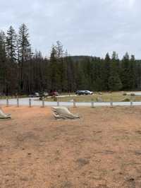 ชมวิถีชีวิตปลาแซลมอนว่านทวนน้ำ 