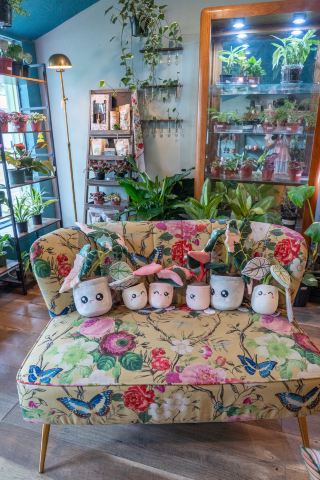 植物、先鋒歷史、啤酒廠露台時光、派餅與 Tomball 復古購物
