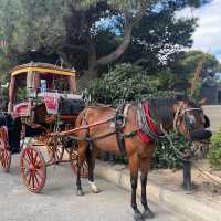 Mdina, the Silent City of Malta
