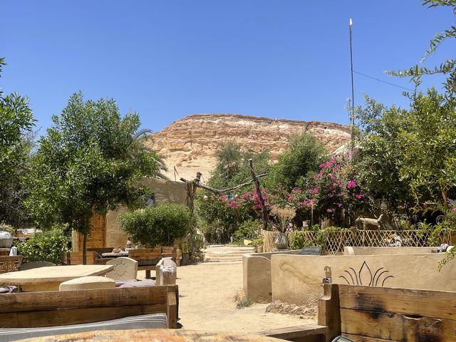 Camping in Siwa Oasis