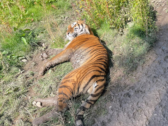 Blackpool Zoo 🐘🦒