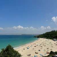 Sensational Cornish summer it is!