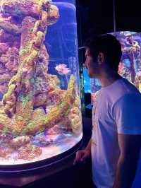 Dive into Antalya Aquarium, Türkiye 🐠
