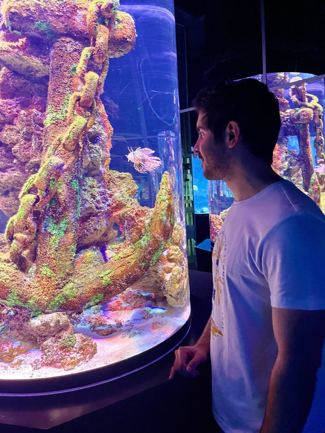 Dive into Antalya Aquarium, Türkiye 🐠