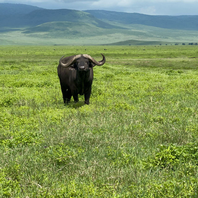 Epic Escapes: Memorable Moments from My Latest Adventure