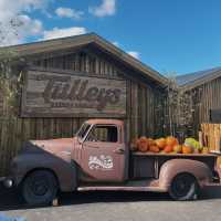 Falling for Autumn: Pumpkins, Spice, and Everything Nice