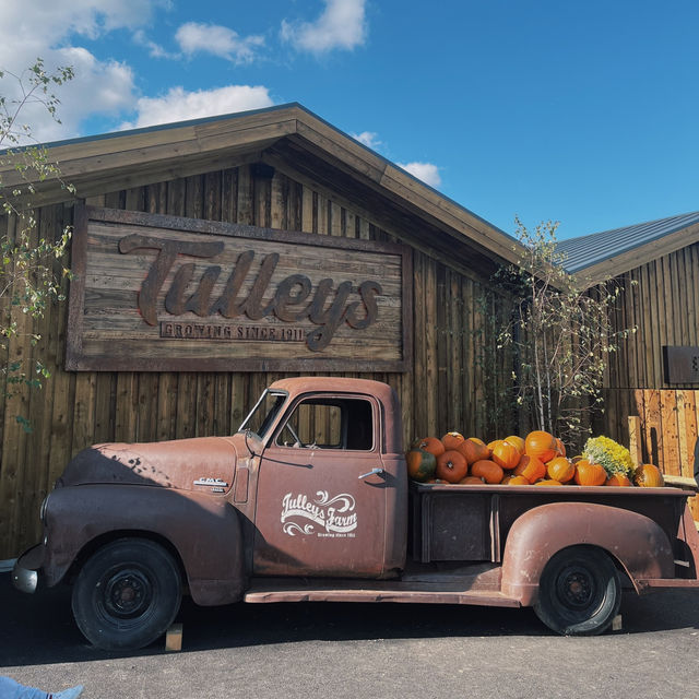 Falling for Autumn: Pumpkins, Spice, and Everything Nice