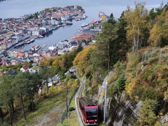 Norway Fjords & Travel tips💡 🇳🇴