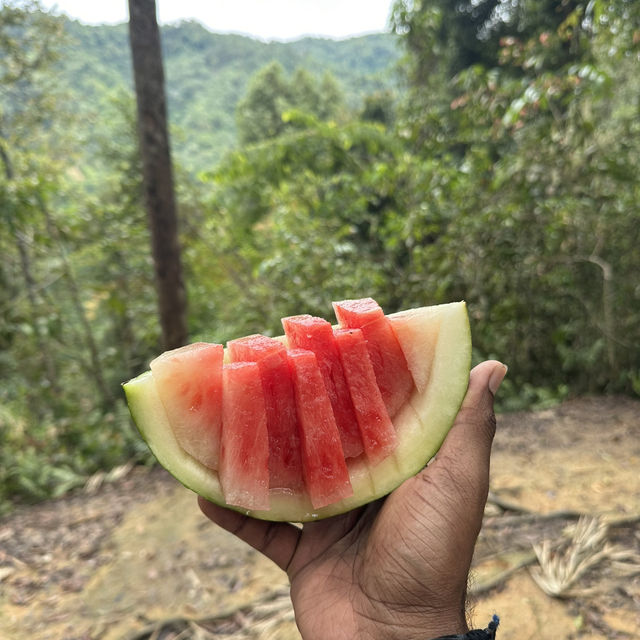 A perfect day in North Sumatra Bukit Lawang Jungle with Orangotans