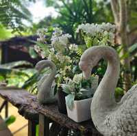 Trip Moments at Pattaya Elephant Village