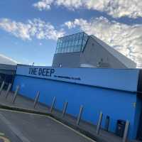 Aquarium in Hull!