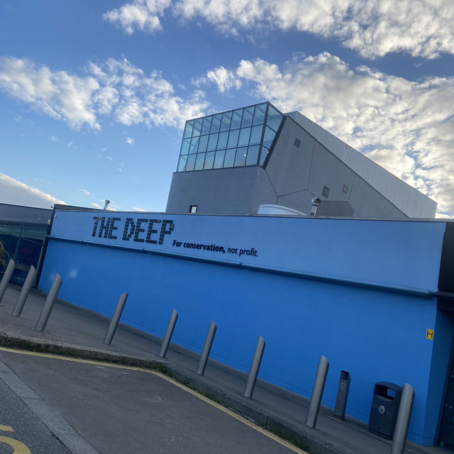 Aquarium in Hull!