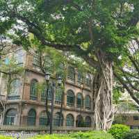 Shamian Island (沙面岛)🥰 Guangzhou