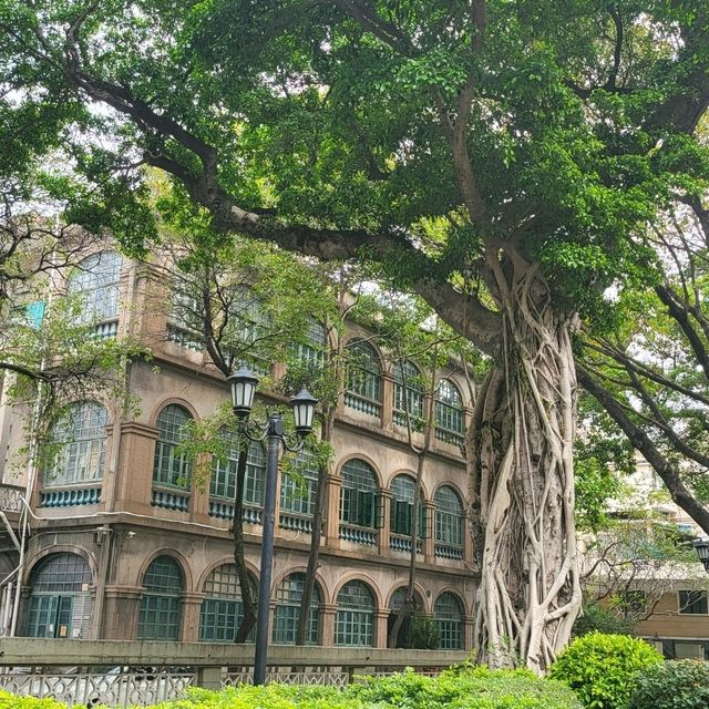 Shamian Island (沙面岛)🥰 Guangzhou