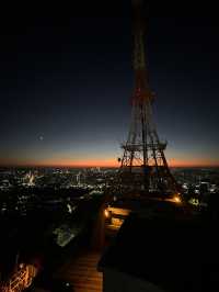 🌆🌿 Seoul from Above: N Seoul Tower & Namsan Park