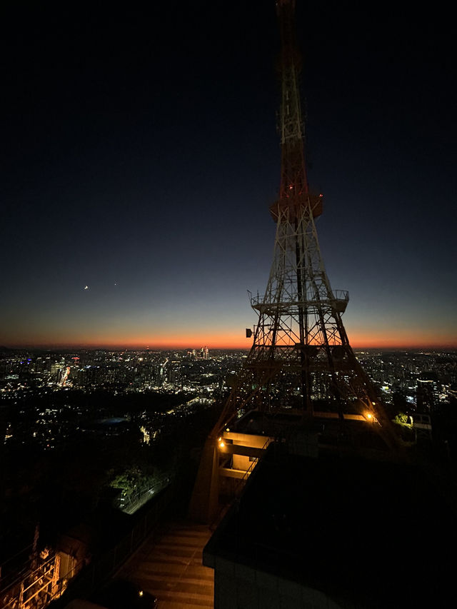 🌆🌿 Seoul from Above: N Seoul Tower & Namsan Park