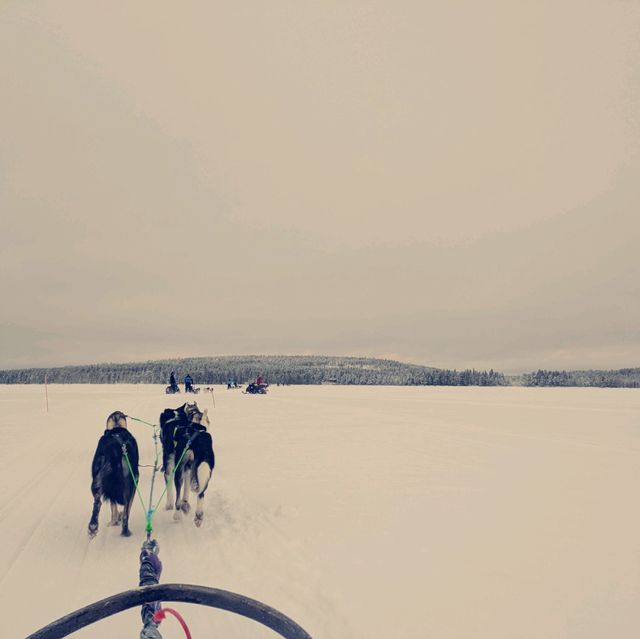 Living the Bucket List: Arctic Magic in Finland 🇫🇮