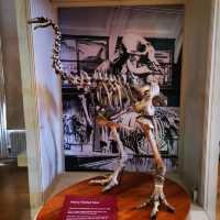 Leeds City Museum: A Cultural Gem in the Heart of Leeds