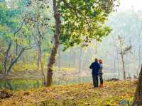 Chitwan National Park