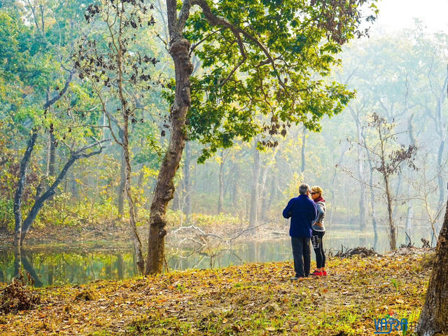 Chitwan National Park