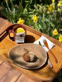 Blooming Spring Vibes at Dotori Garden Anguk