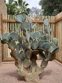 The Majorelle Garden in Marrakech is a true bliss for lovers of nature and art.