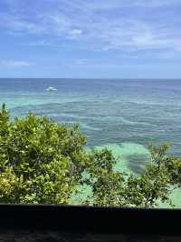 Ever Tried Flower Salad with a Sea View? Bohol Bee Farm Is a Sweet Surprise