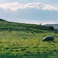 🚆 Manchester to Hope Valley – A Scenic Escape 🏞️
