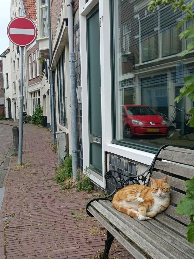 Haarlem | The Charming Dutch Escape Near Amsterdam!