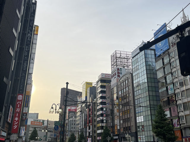 Tokyo 6 Days Travel Guide 