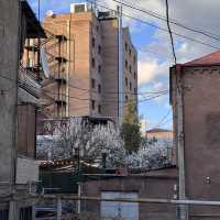 Yerevan 5 Days Travel Guide 