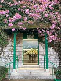🎨 Giverny Garden: Monet’s Masterpiece in Bloom 🌸