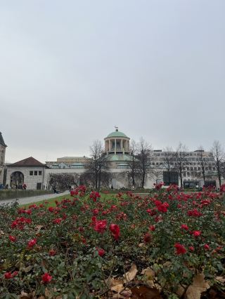 STUTTGART: Germany’s Best-Kept Secret! 