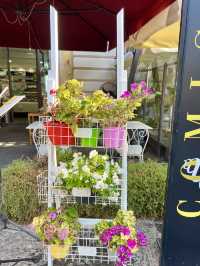 Comis Ice Cafe
