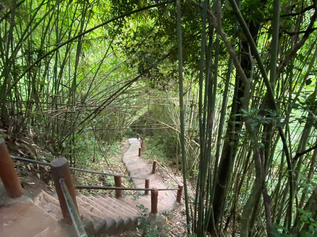 แวะเขาใหญ่แป๊บเดียว แต่ใจดันอยากอยู่นาน ๆ⛰️🛣️