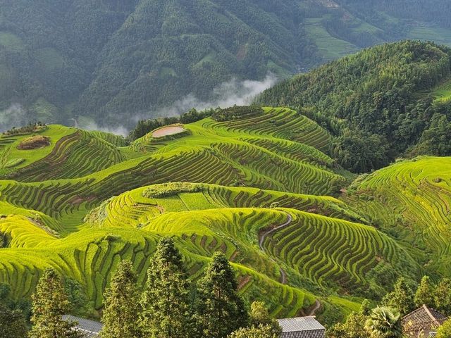 Sleep Above the Clouds at Longji's Ancient Rice Terraces 🌾