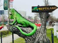 Reptiland Bucharest, Over 40 Species of Reptiles 🦎🐍