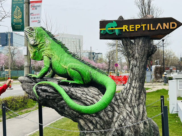 Reptiland Bucharest, Over 40 Species of Reptiles 🦎🐍