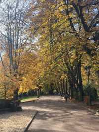 Autumn in Romania: A Golden Escape 🇷🇴