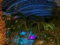 Therme București: Europe's Wellness Paradise