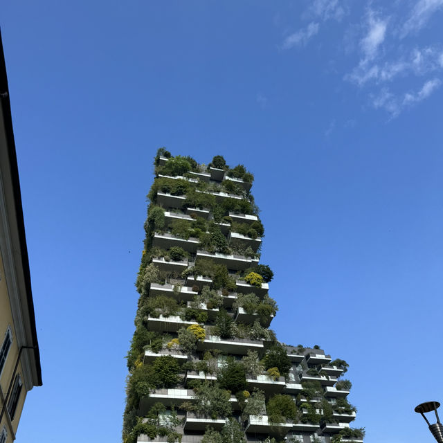 Milan Modern Glow🌞: Boso Verticale Milan Modern Glow🌞: Boso Verticale