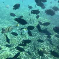 ๐ฒ๐พ Malaysia ๐๏ธ Redang Island Magic Escape ๐