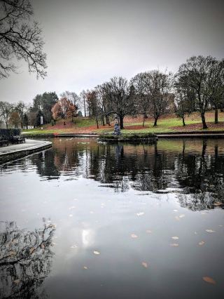 🍁 Lister Park – The Lake in Autumn Light 🌤️🦆
