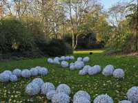 Royal Botanic Gardens, Kew