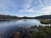 Algonquin Provincial Park
